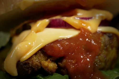 A close-up of a gourmet burger topped with melted cheese, salsa, and red onion, showcasing vibrant food photography.